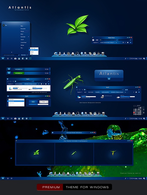 Windowblinds Premium Theme