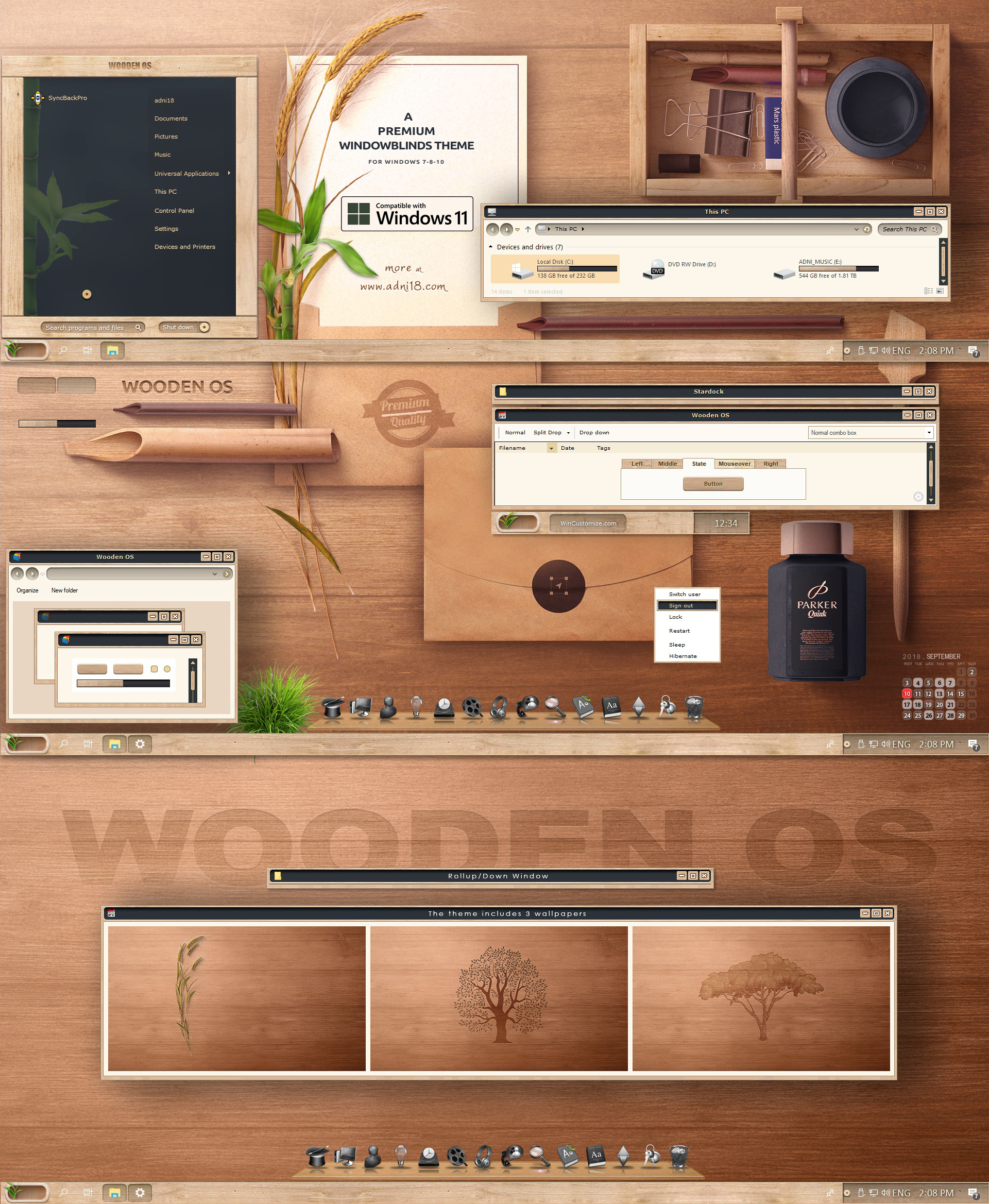 Premium thesis skins pack 2011 picture