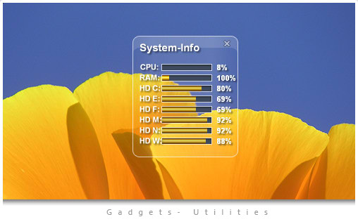 InfoSystem   [Standalone Gadget - Widget]