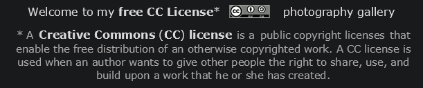 Welcome to my free CC License* photography gallery


* A Creative Commons (CC) license is a public copyright licenses that enable the free distribution of an otherwise copyrighted work. A CC license is used when an author wants to give other people the right to share, use, and build upon a work that he or she has created.
