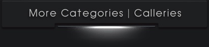 Chose Category