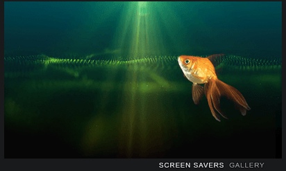 Screensavers