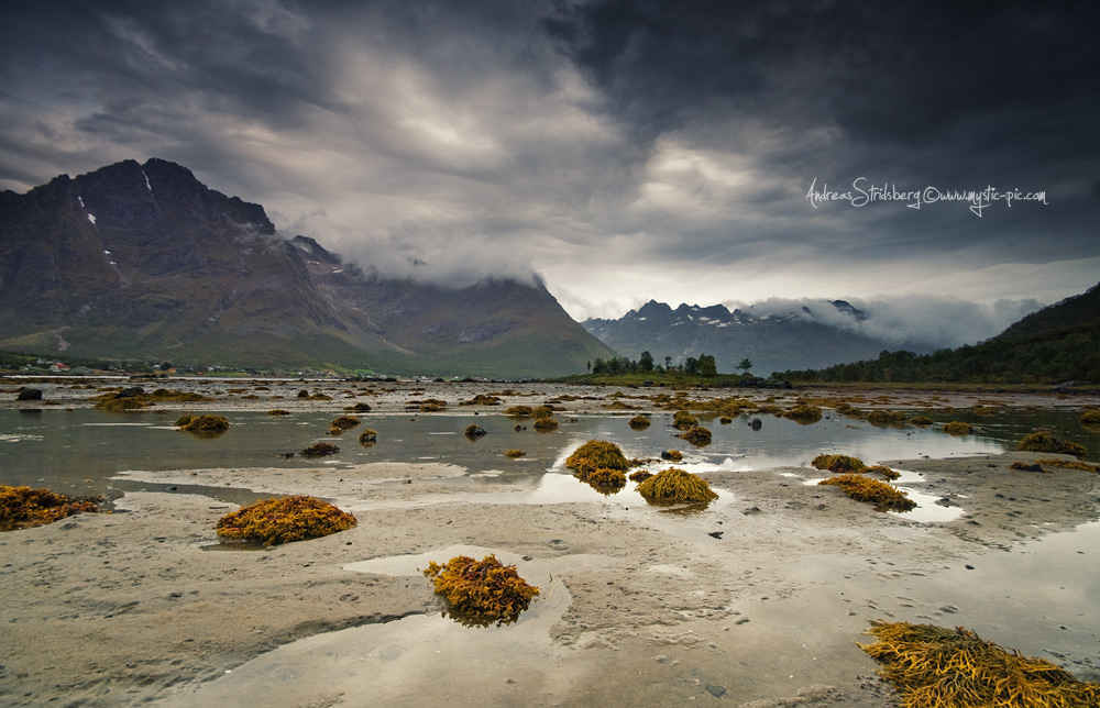 Arctic Autumn Norway