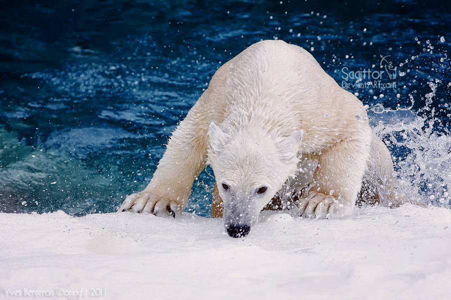 Brrr Its Cold