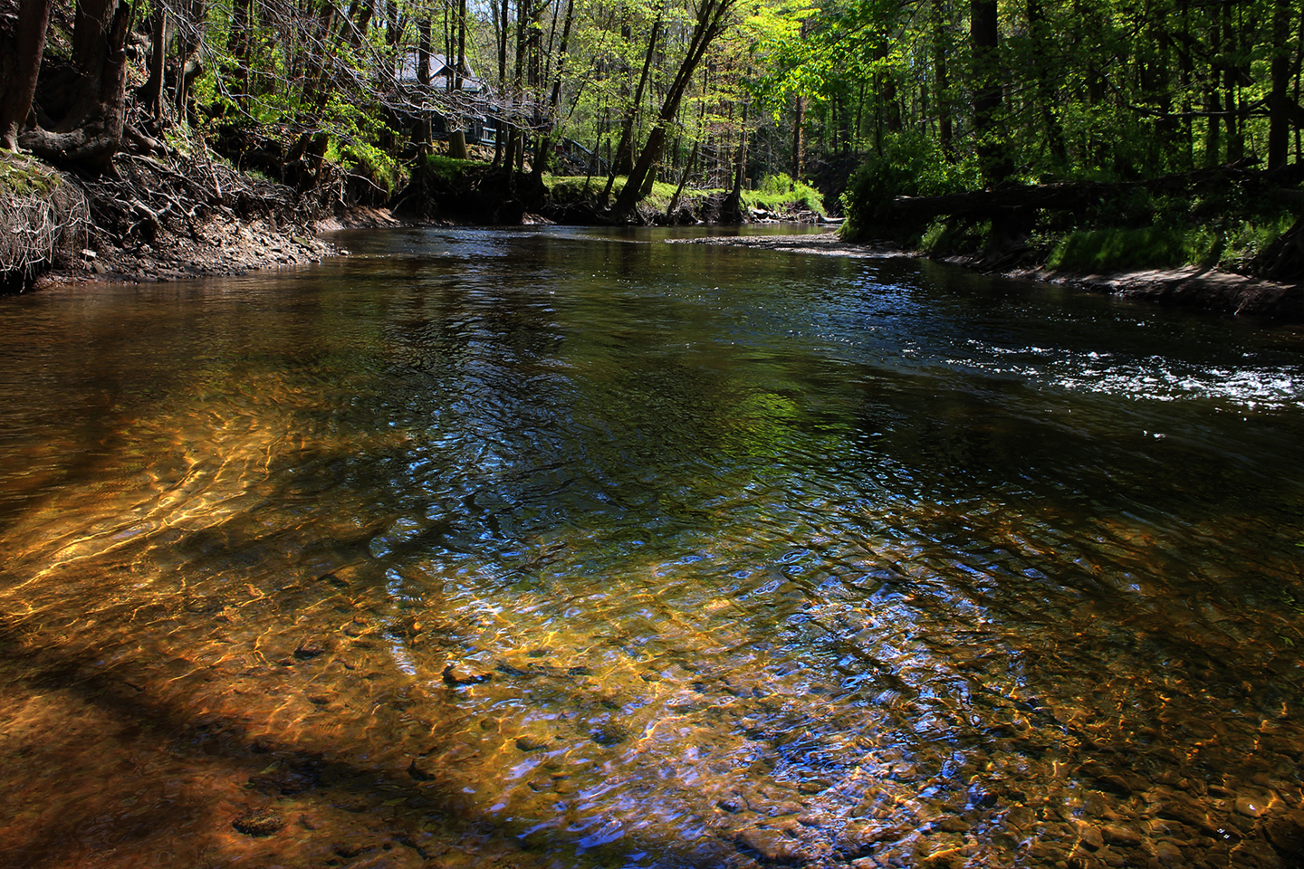 House on the Chagrin River