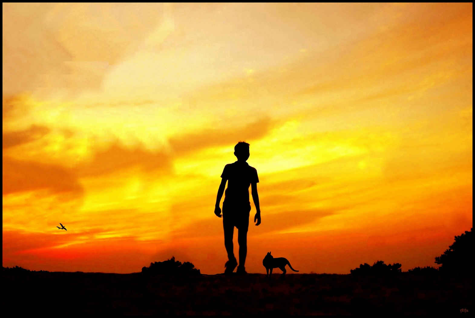 Silhouette 15