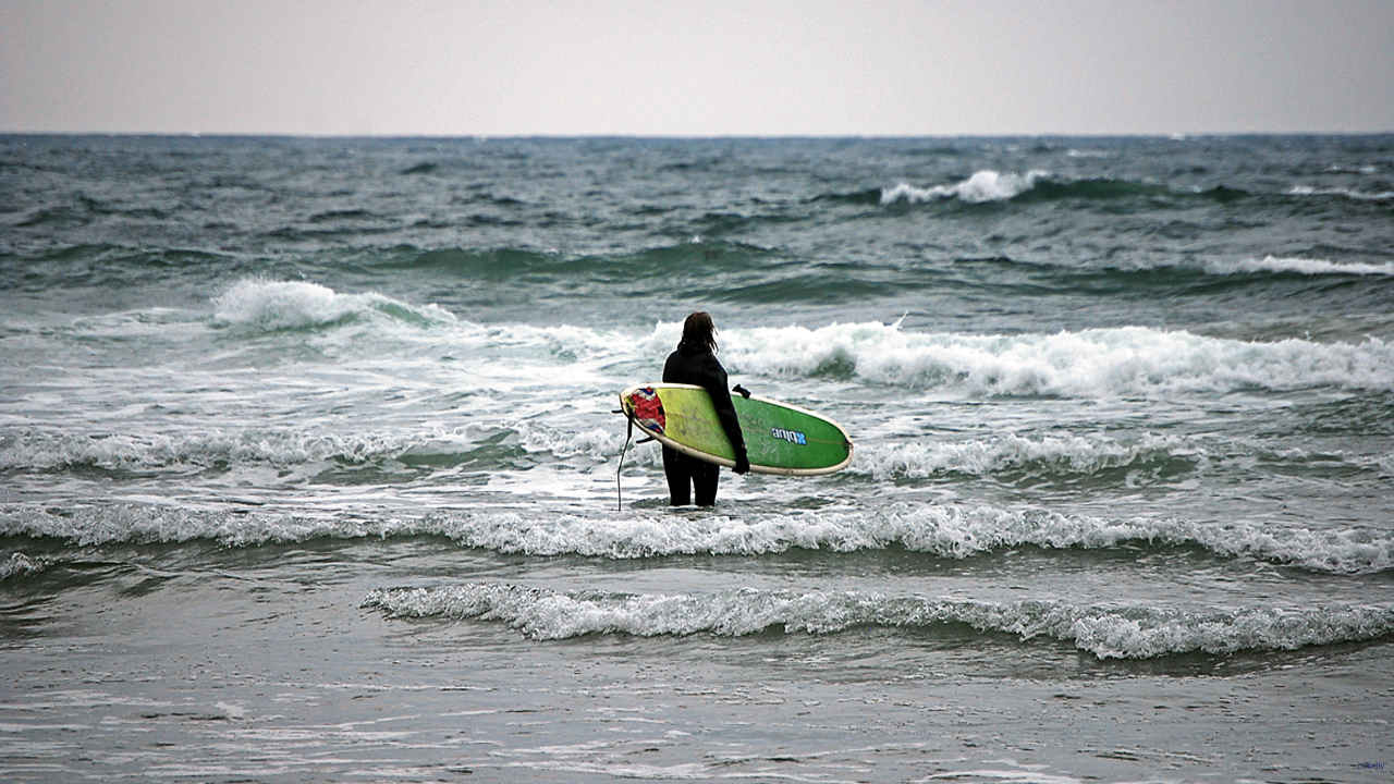 Wave Watching