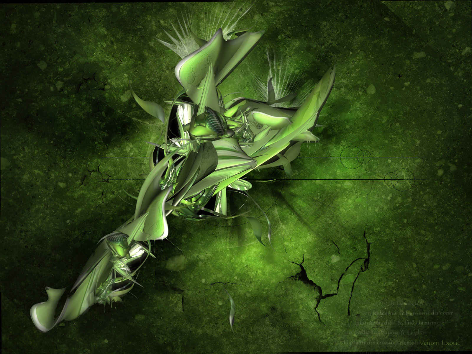 Venom Exotica