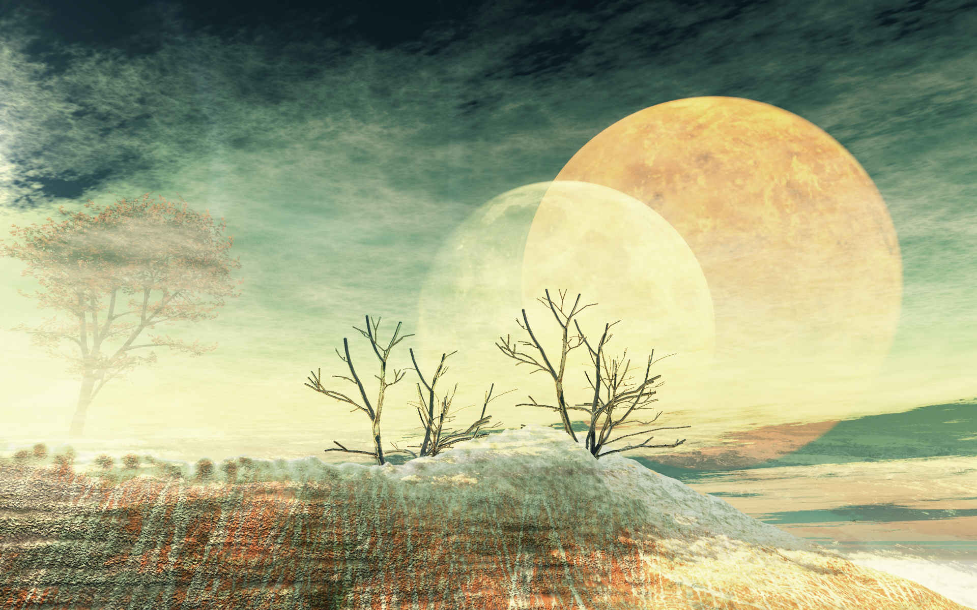 Winter