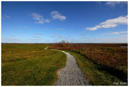 The Path