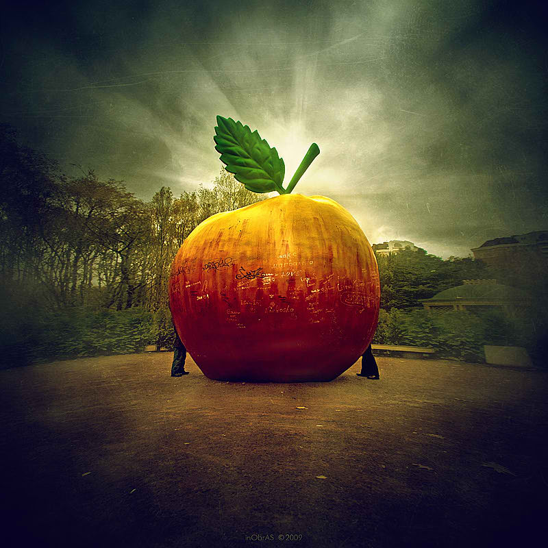 Forbidden Fruit