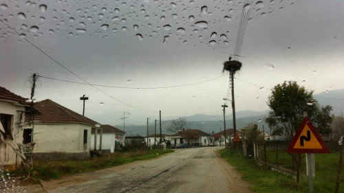 Lake Kerkini - North Greece