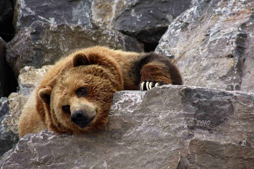 After Nap