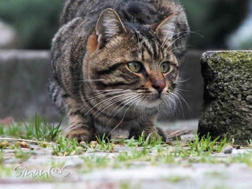 homeless 1 of....