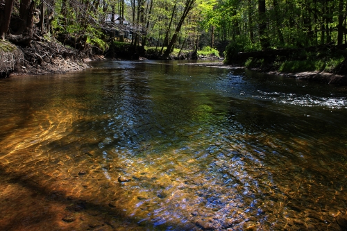 House on the Chagrin River