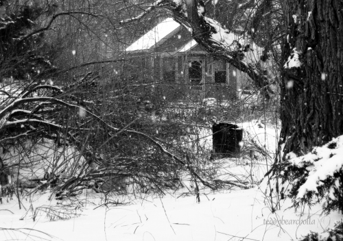 In the woods