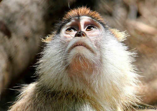 Is That You Up There