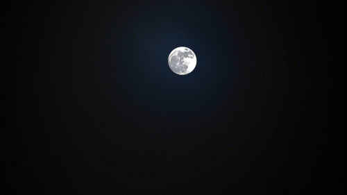 Moonshine