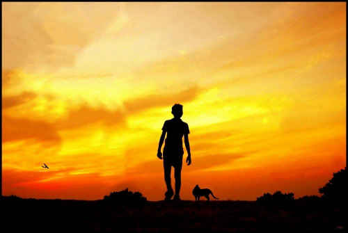 Silhouette 15
