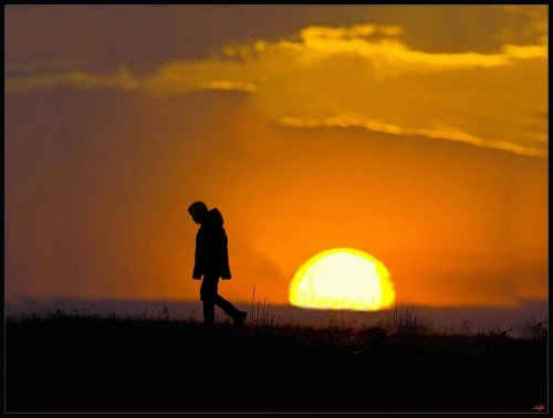 Silhouette 45