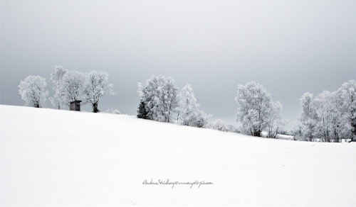 White Hill