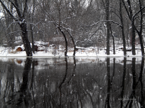 Winter reflections