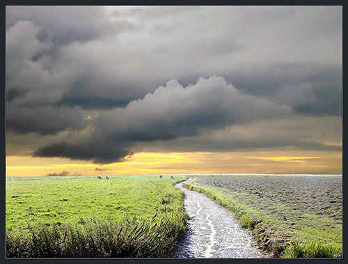 Country 01