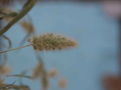 Soft touch